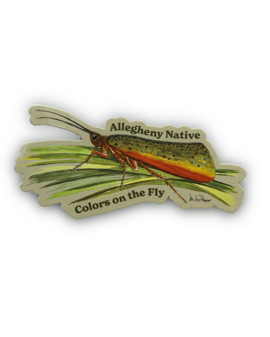 Caddis Brookie Sticker