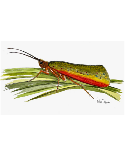 Caddis Brookie Sticker